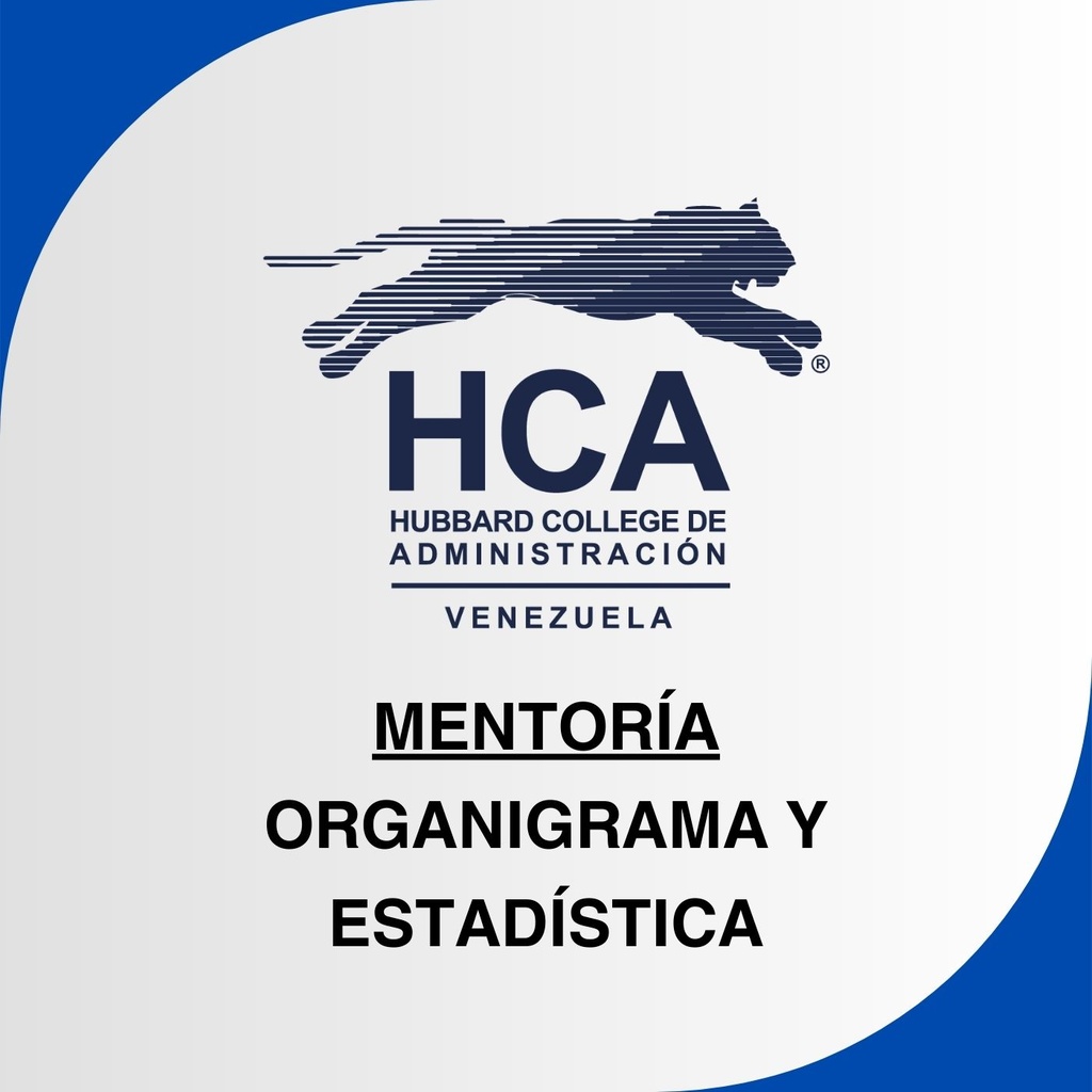 Mentoria de Organizacion y Productividad